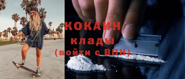 винт Нея